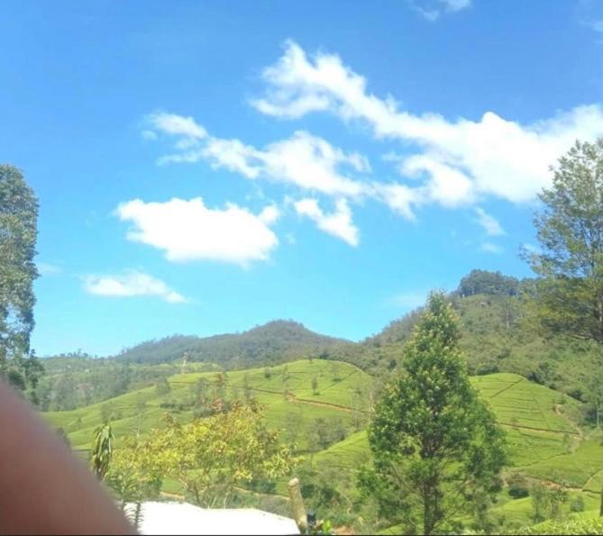 Nuwaraeliya Penthouse Apartment With Pool & Panaromic Views Нувара-Элия Экстерьер фото